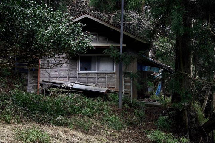 木々に囲まれた山中に建つ、老朽化した木造住宅の外観。