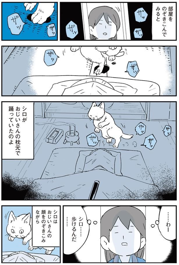 歩けるんだ… （C）みつつぐ／KADOKAWA
