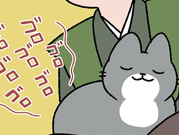 選ぶとしたら… （C）ぱんだにあ／KADOKAWA