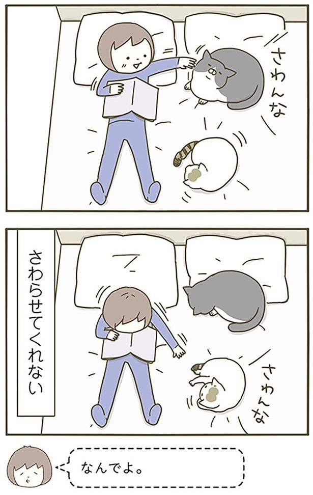さわらせてくれない （C）卵山玉子／KADOKAWA