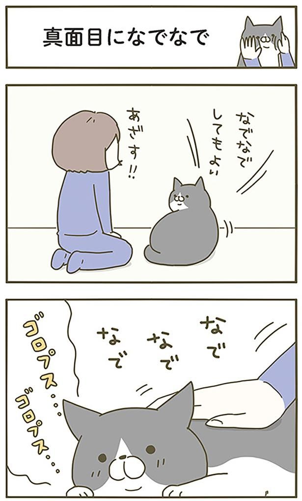 真面目になでなで （C）卵山玉子／KADOKAWA