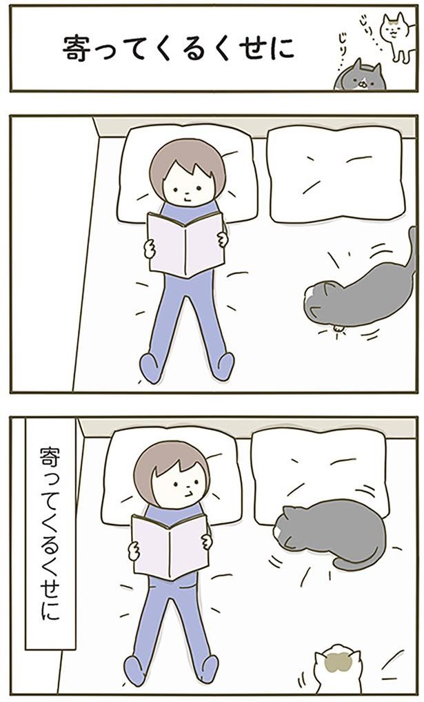 寄ってくるくせに （C）卵山玉子／KADOKAWA