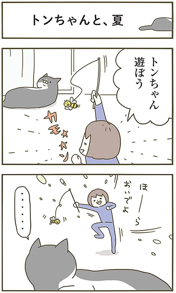 トンちゃんと、夏 （C）卵山玉子／KADOKAWA