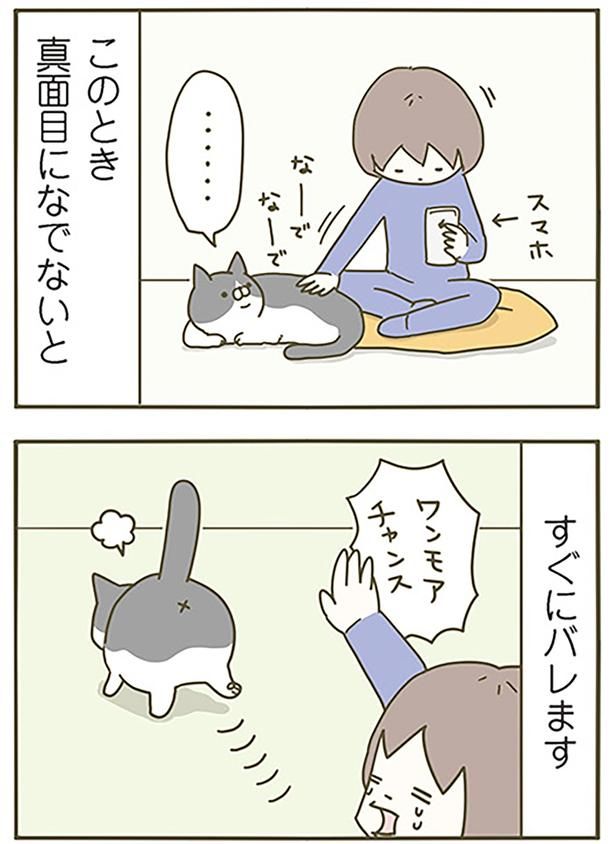 真面目になでないと （C）卵山玉子／KADOKAWA