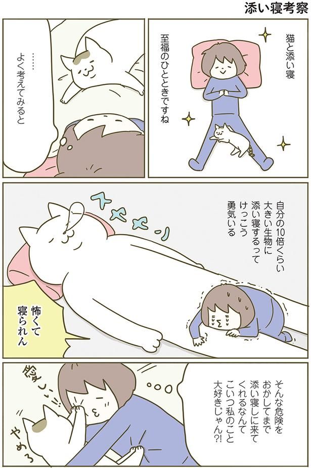 添い寝考察 （C）卵山玉子／KADOKAWA