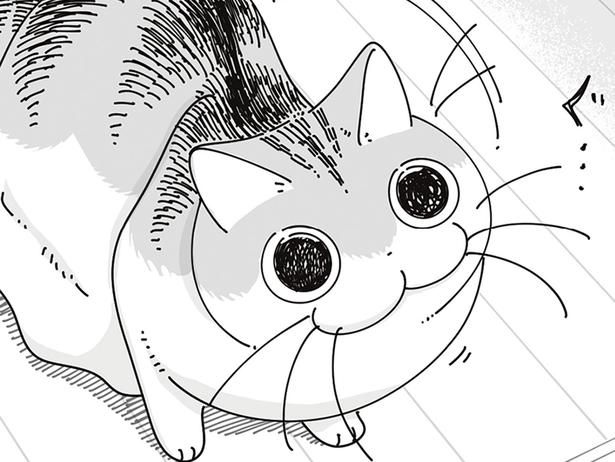 ぐっ… （C）キュルZ／KADOKAWA