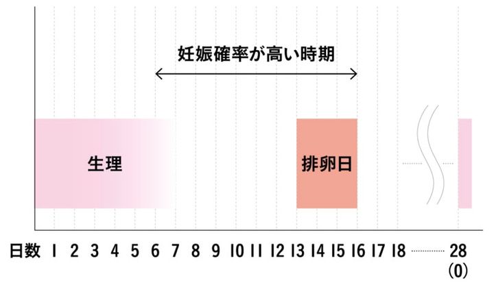 【妊娠しやすいタイミングって!?】妊娠確率が高い時期に、2〜3日に一度の性交渉をもつことで確率が高まります。※生理が28日周期の場合