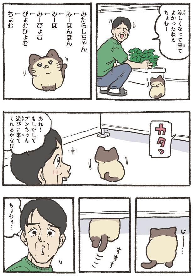 遊びに来てくれるかな！？ （C）やじま／KADOKAWA