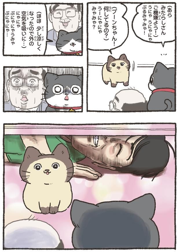 ご機嫌よう！ （C）やじま／KADOKAWA