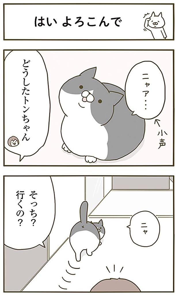 はいよろこんで （C）卵山玉子／KADOKAWA