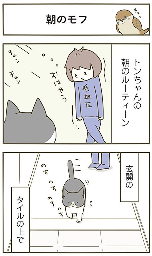 朝のモフ （C）卵山玉子／KADOKAWA