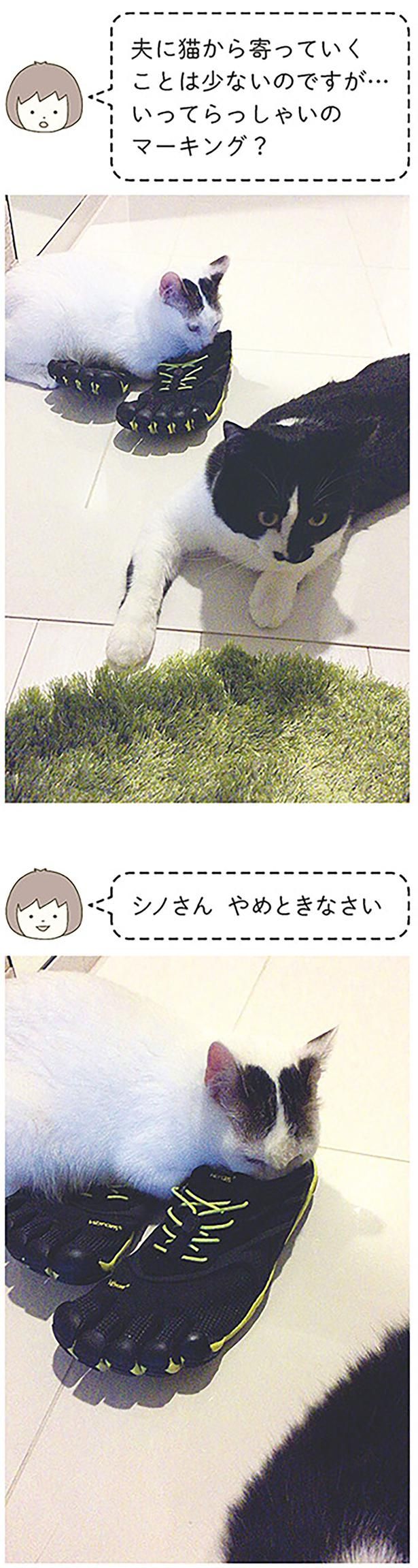やめときなさい （C）卵山玉子／KADOKAWA