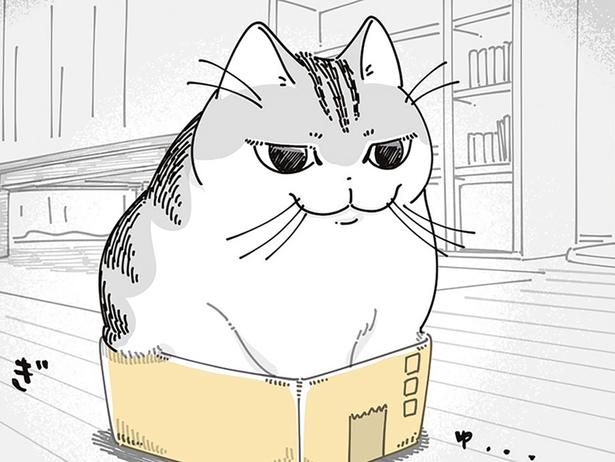 ぎゅむぎゅむ （C）キュルZ／KADOKAWA