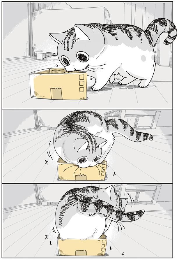 箱に入ろうと （C）キュルZ／KADOKAWA