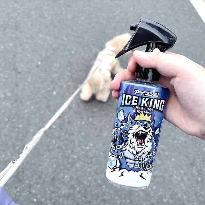 屋外で使うと暑さが吹き飛ぶ