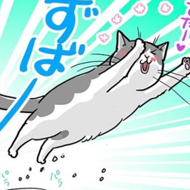 藤緒家では夏になるとなぜか猫が飛ぶ!?その理由は？