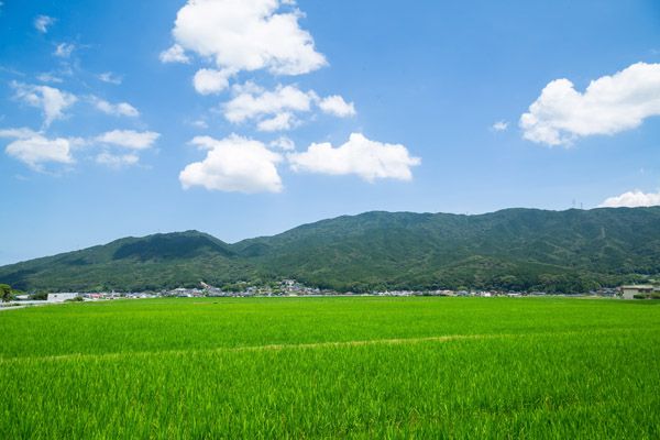 【福岡県糸島市】大嘗祭に献上米を納めた脇山の米を使ってどぶろくを醸す体験を楽しむクラファン実施