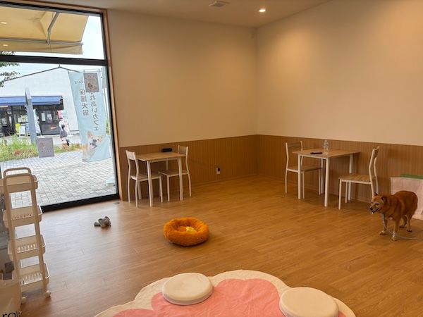 【岡山県岡山市】保護犬猫と出会える出会いと癒やしの場「ANELLA CAFE」が、岡山に3店舗目をOPEN
