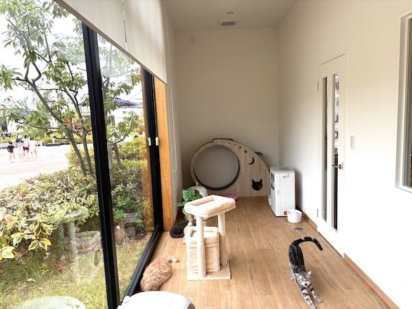 【岡山県岡山市】保護犬猫と出会える出会いと癒やしの場「ANELLA CAFE」が、岡山に3店舗目をOPEN