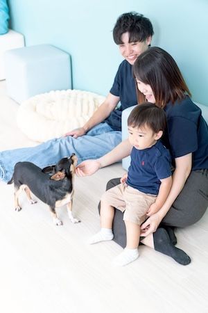 【岡山県岡山市】保護犬猫と出会える出会いと癒やしの場「ANELLA CAFE」が、岡山に3店舗目をOPEN