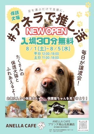 【岡山県岡山市】保護犬猫と出会える出会いと癒やしの場「ANELLA CAFE」が、岡山に3店舗目をOPEN
