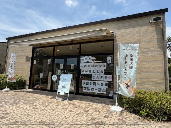 【岡山県岡山市】保護犬猫と出会える出会いと癒やしの場「ANELLA CAFE」が、岡山に3店舗目をOPEN