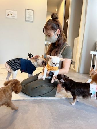 【岡山県岡山市】保護犬猫と出会える出会いと癒やしの場「ANELLA CAFE」が、岡山に3店舗目をOPEN