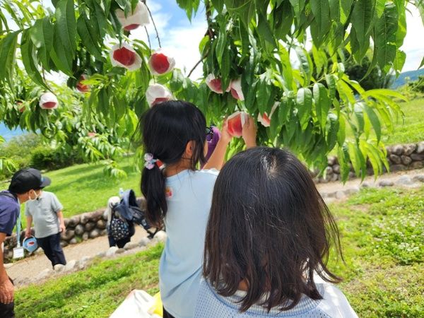 【山梨県山梨市】笛吹川フルーツ公園のサマーフェス！絶景を眺めながら水遊びと桃のスイーツを楽しめる