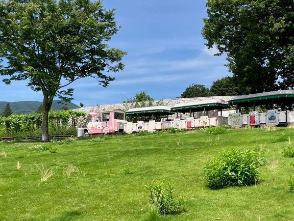 【山梨県山梨市】笛吹川フルーツ公園のサマーフェス！絶景を眺めながら水遊びと桃のスイーツを楽しめる