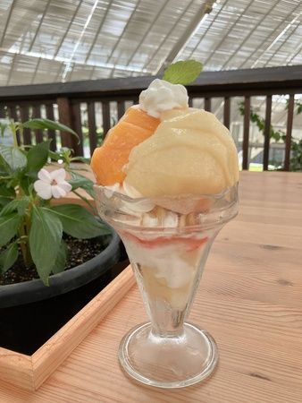 【山梨県山梨市】笛吹川フルーツ公園のサマーフェス！絶景を眺めながら水遊びと桃のスイーツを楽しめる