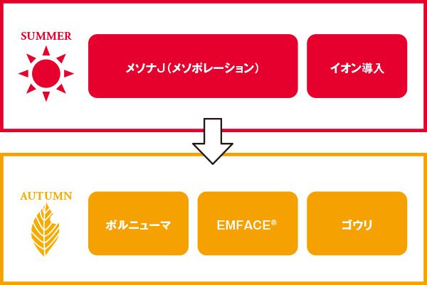SUMMER メソナJ（メソポレーション） イオン導入 AUTUMN ボルニューマ EMFACE® ゴウリ