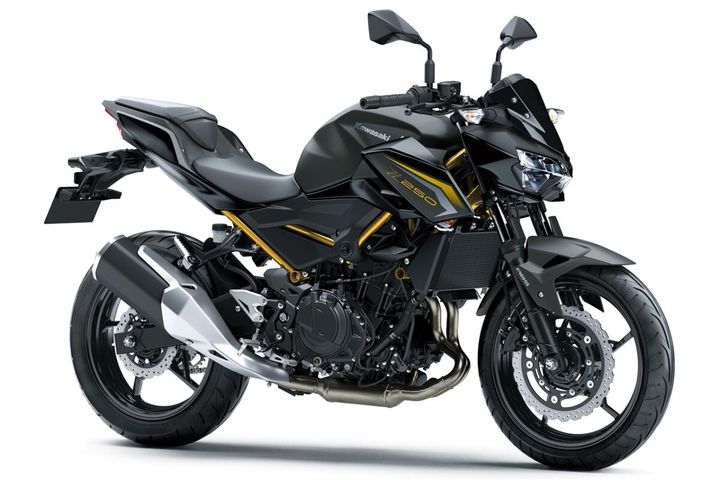 Z250(メタリックマットグラフェンスチールグレー×メタリックフラットスパークブラック)