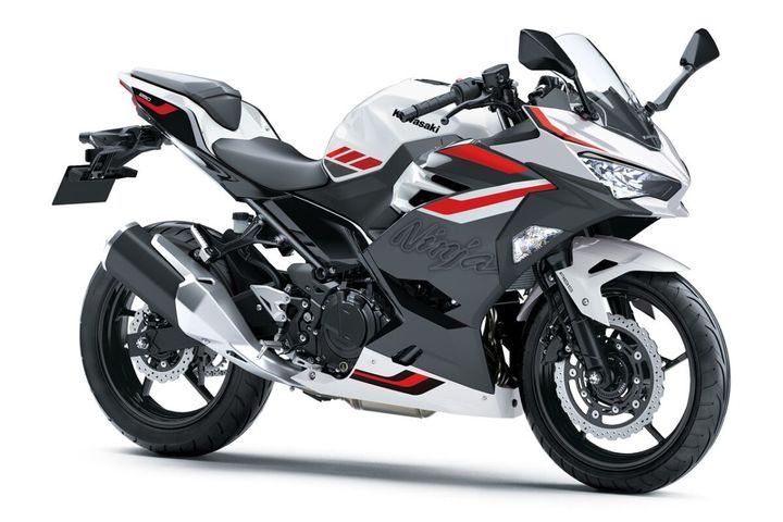 Ninja 250(パールロボティックホワイト×メタリックマグネティックダークグレー)