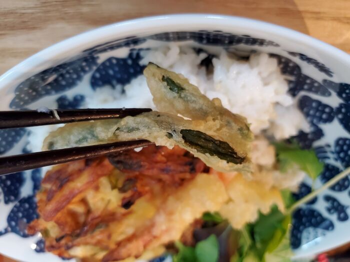 冷めた揚げ物をサックサクに復活させる裏ワザ。〈オーブントースターなし〉でも可能か検証してみた！