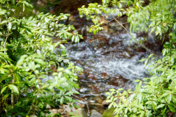 公園ビューから川床テラスまで。緑に癒される大阪のカフェ5選
