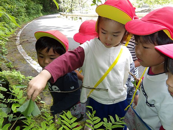 【広島県安芸太田町】安芸太田町暮らしや自然の中での子育てを体感しよう。「こども爆のび！もりみん山のこども園 移住体験ツアー」