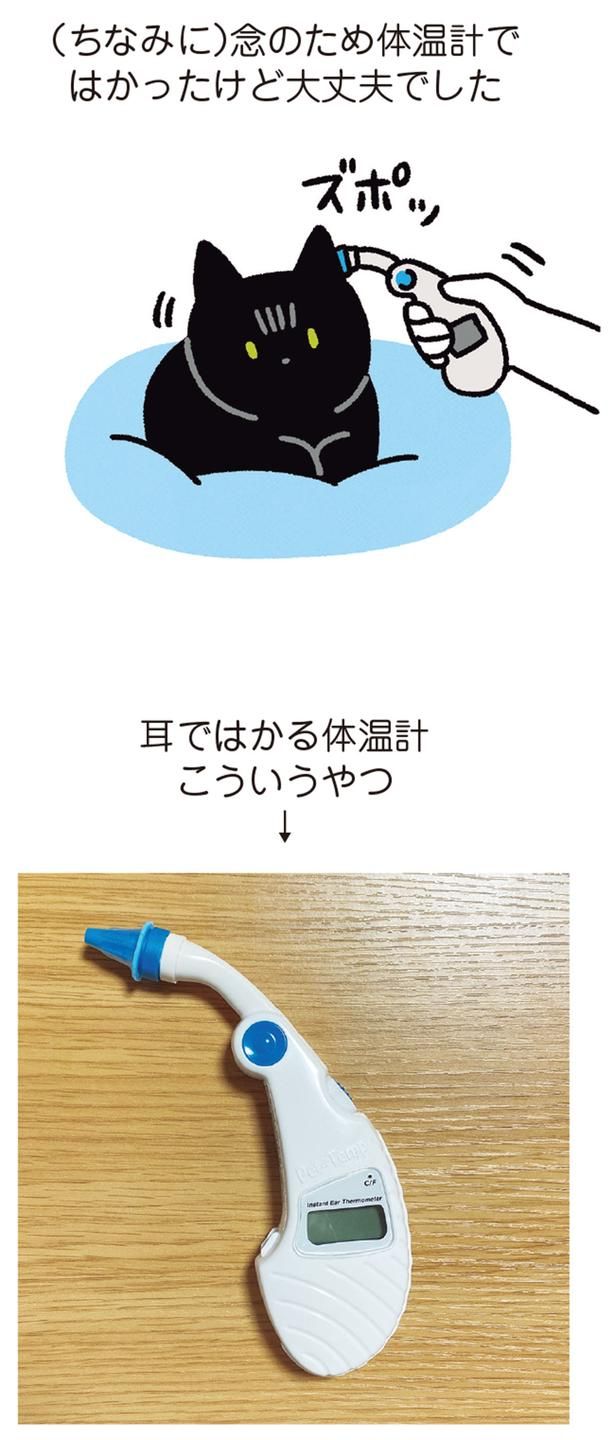 念のため体温計ではかったけど大丈夫でした （C）AKR／KADOKAWA