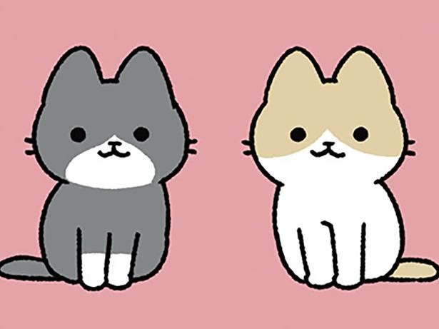 ねこの兄弟 （C）ぱんだにあ／KADOKAWA