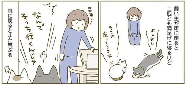 床に座ると満足げ （C）卵山玉子／KADOKAWA