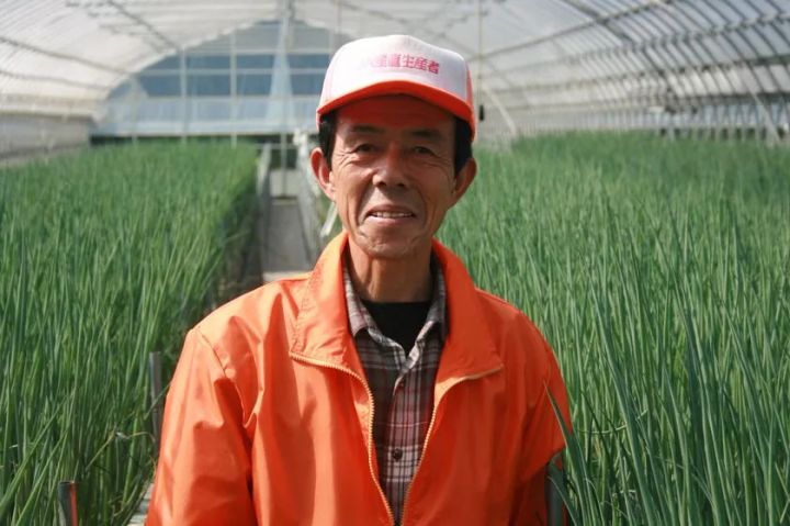 青ネギ畑に立つ生産者