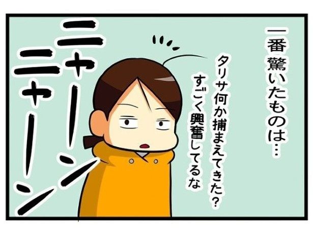 ついに何か大物を仕留めてきた様子…？ もちこ(@mogutchecho)