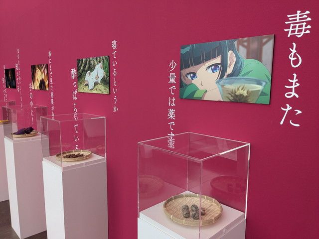 AREA2 毒についてのエピソードを紹介する赤い展示壁