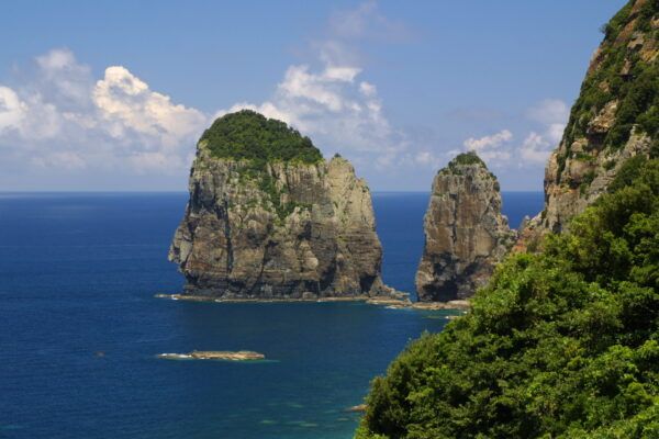【鹿児島県薩摩川内市】一年に一度の絶景！天然記念物カノコユリ群落をチャーターヘリで訪ねる甑島ツアー