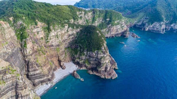 【鹿児島県薩摩川内市】一年に一度の絶景！天然記念物カノコユリ群落をチャーターヘリで訪ねる甑島ツアー
