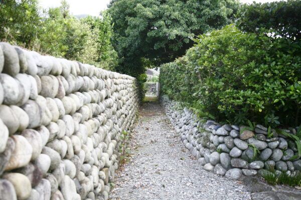 【鹿児島県薩摩川内市】一年に一度の絶景！天然記念物カノコユリ群落をチャーターヘリで訪ねる甑島ツアー