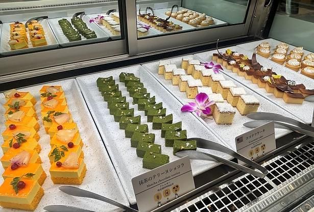 「オレンジとパイナップルのガトー」、「抹茶のテリーヌショコラ」などカラフルなスイーツが並ぶ