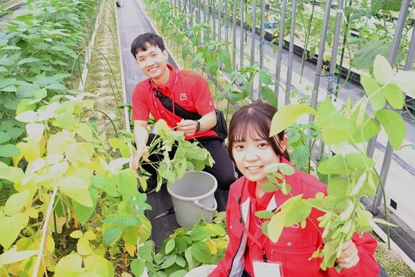 パパネッツ、障がいがある従業員が育てた野菜を「こども食堂」に寄付