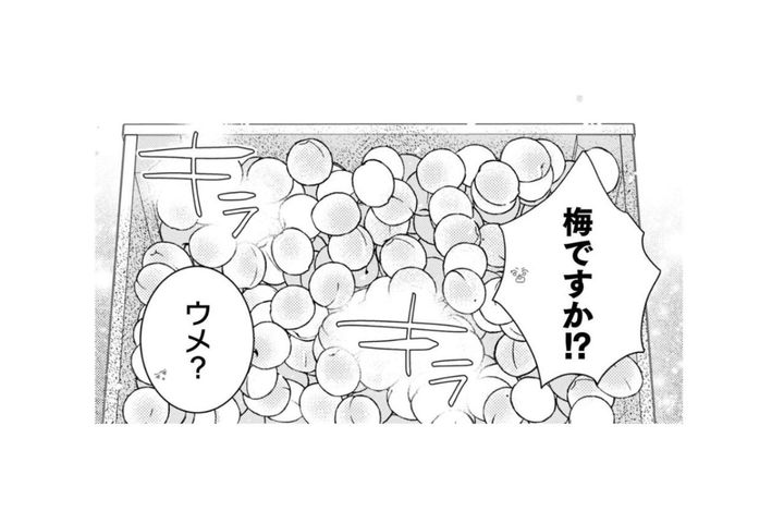 「これやるよ」突然持ち込まれた大量の梅。懐かしい故郷の香りに思いがけず心が揺れた瞬間【トゥットでアペロ～派遣切りOLが異世界で小料理屋はじめました～#21】