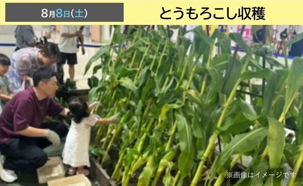 【愛知県名古屋市】セントラルパーク地下街で「センパ大夏祭 2026」開催！ゲームや無料抽選会などが楽しめる