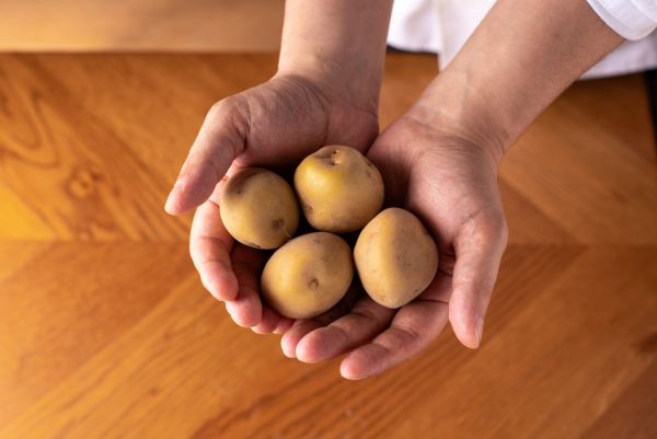 「マザームーンカフェ」で神戸の有機農家と共同開発したフライドポテトを販売